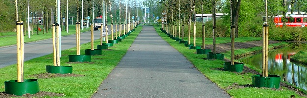 Foto Allee mit Gießrändern